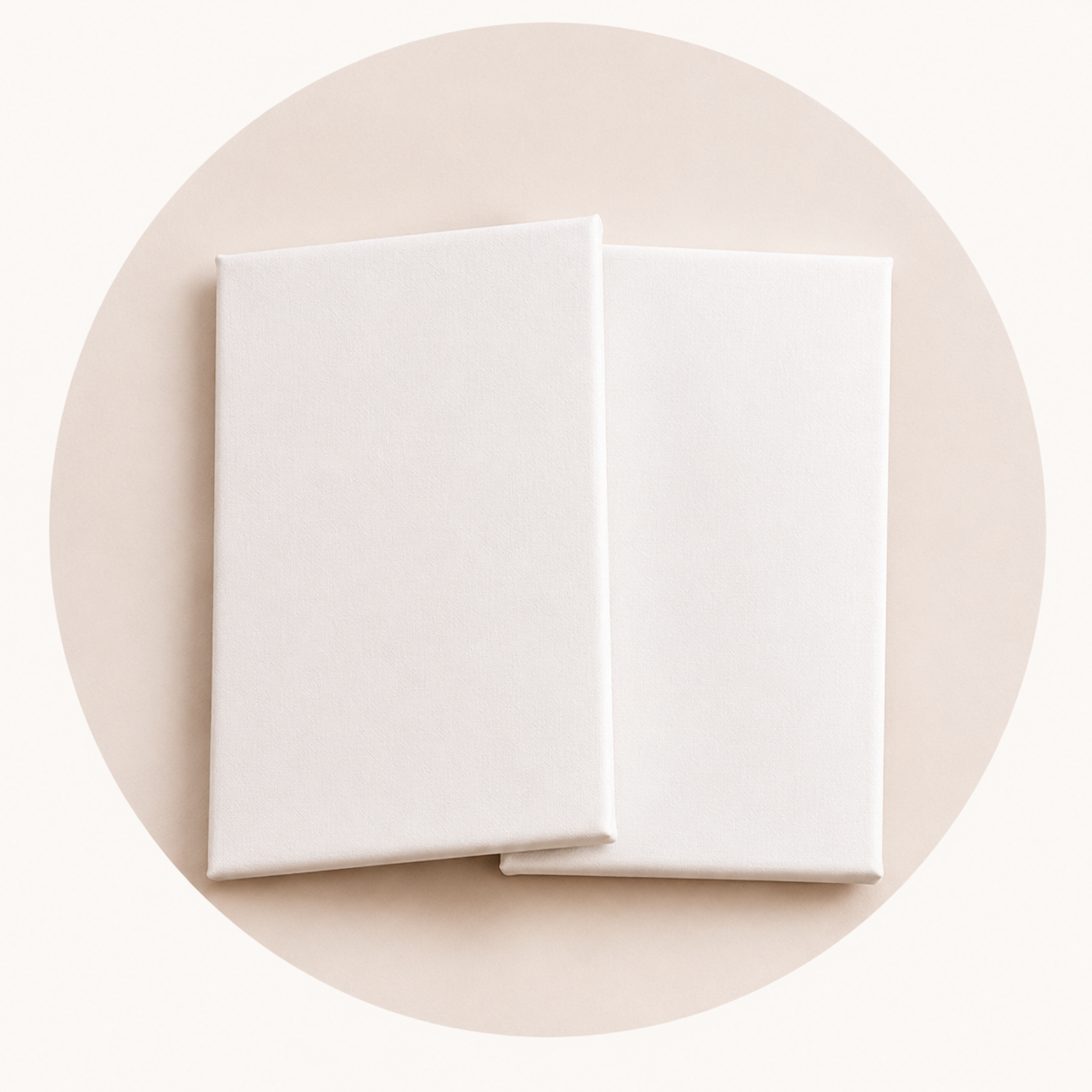 Canvas Panel